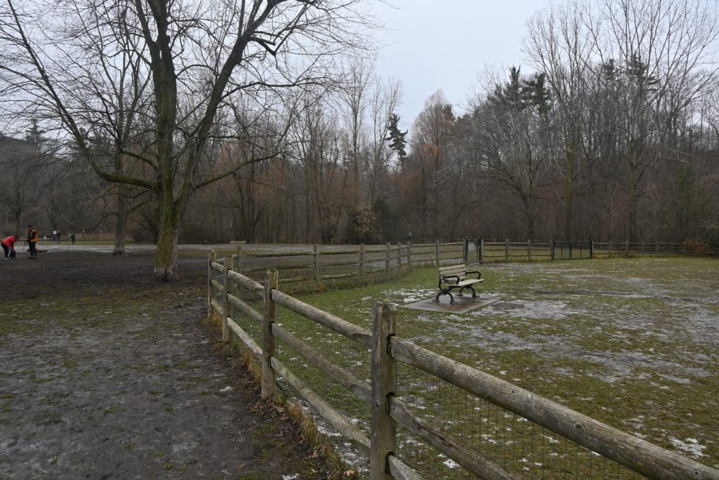 Bench with melting traces of snow on the ground and split rail fence in foreground at Sunnybrook Dog Park