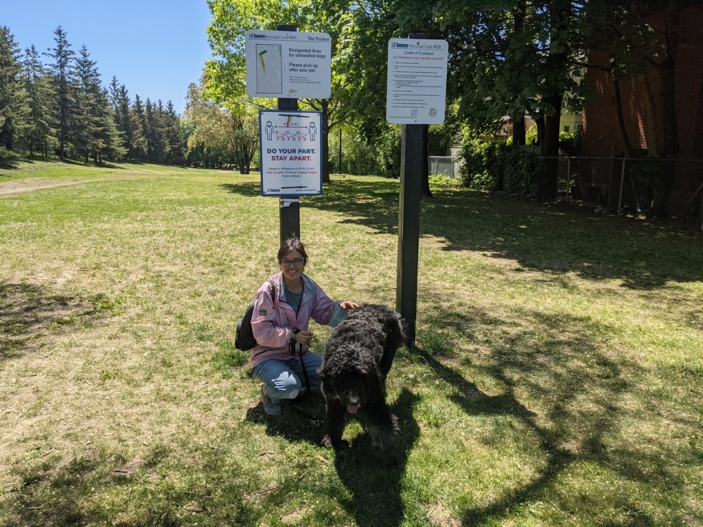 Kneeling woman in pink jacket with fullsize black and white bernoodle on leash in front of municipal sign showing boundaries of The Pocket Dog Park.