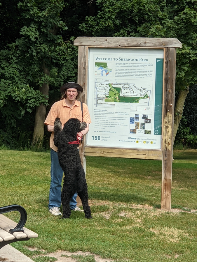 Sherwood Dog Park entrance sign with a fullsize black and white Bernoodle jumping up on its owner.